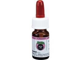 Endo N2® Cement - Packung 6 g Liquid