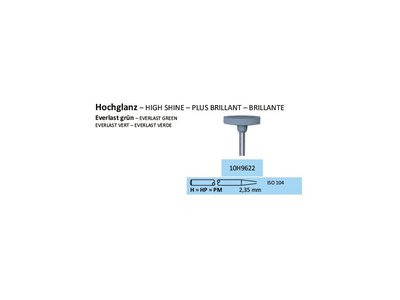Leštící guma EVERLAST ZELENÁ H9622 10ks