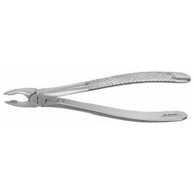Forceps #34 Europ. SM anterior