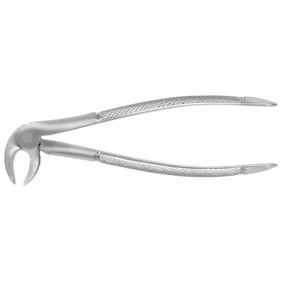 Forceps #33 Europ., IM Roots, EU