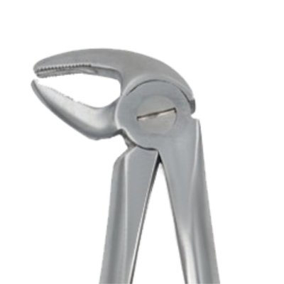 Kleště č.13K Premolárové, dolní