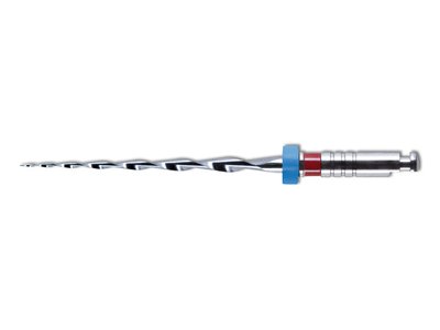 VDW NiTi MTWO, 25/.06 31mm