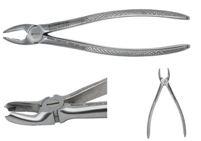 Kleště molárové, pravé + levé, horní