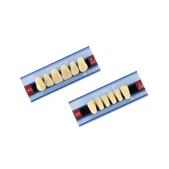 Zuby Artic 6, D2 / L 15