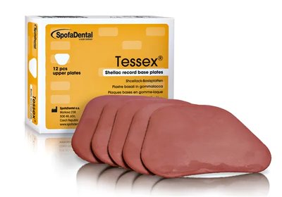 Tessex horní (upper) 12ks