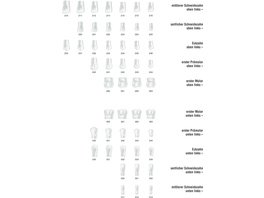 Strip-Kronen Klar - Packung 5 Stück Nr. 222