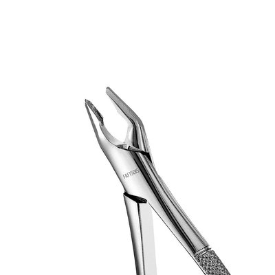 Forceps Atlas, Apical, Upper Universal
