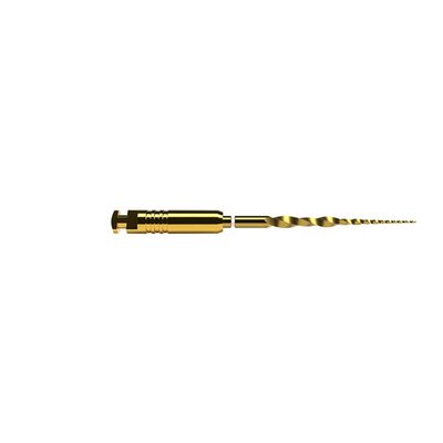 ProTaper Ultimate SX 19mm 6ks
