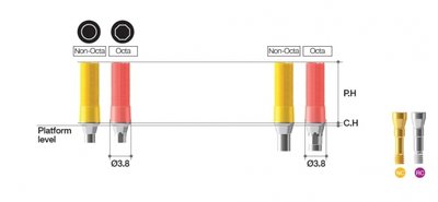 MEGAGEN BD CCM Abutment