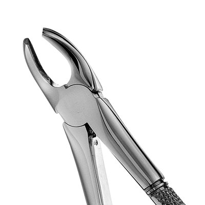 Forceps children #39 child SM 1-3 Molar