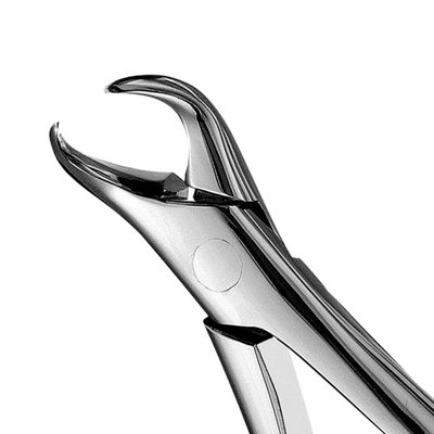 Forceps #23 IM 1-2 Molar