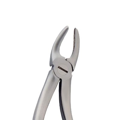 Diamantové kleště č. 99. Hertz (dolní molárové)