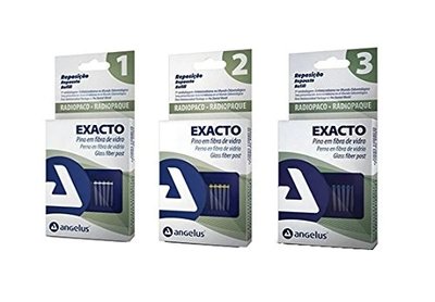 Exacto-wkłady Translucid z włókna szklanego 1 białe Angelus 5szt