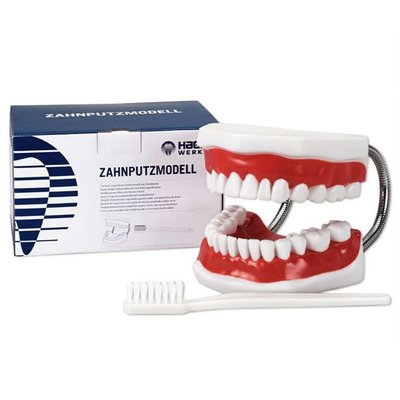 Model chrupu 2:1 vč. kartáčku 21,5 cm