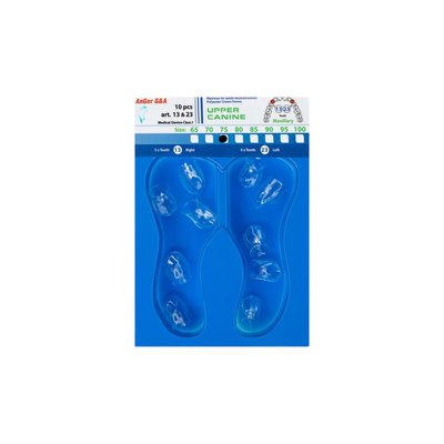 Formówki poliestrowe kły górne (maxillary) 10szt - Korony poliestrowe 10szt: Rozmiar 100 KOD: 13&23-100