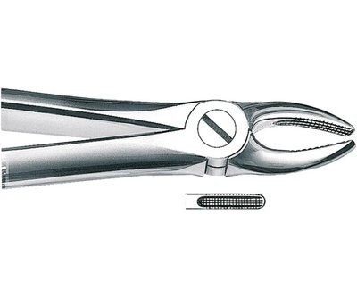 Kleszcze ekstrakcyjne ORBIS - WARIANTY