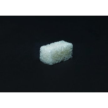 BIO-GEN blok spongiosy, 20x10x10 mm