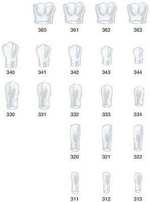 Strip Crowns ľavé dolné 360