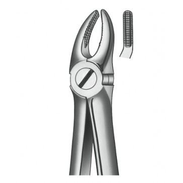 Kleště diamantové, premoláry