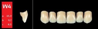 Ref-Line Anterior A3,5 W4