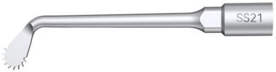 Woodpecker Tip SS21