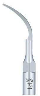 Woodpecker Tip P1 (EMS)