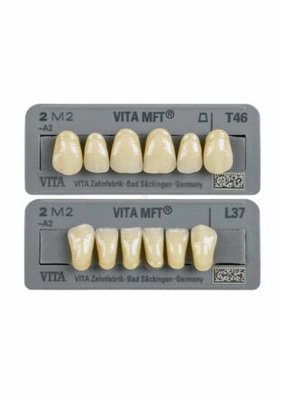 VITA MFT - zęby akrylowe 6 szt