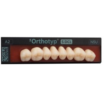 ZUBY SR Orthotyp S DCL A4 N6U horní 8ks