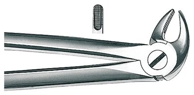 ORBIS Extrakční kleště, tvar 13, dolní premoláry