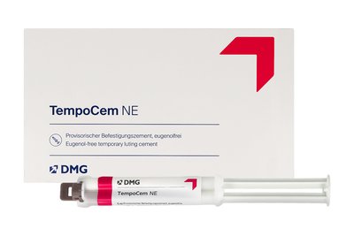 TempoCem NE Smartmix 11 g x 2 szt. DMG