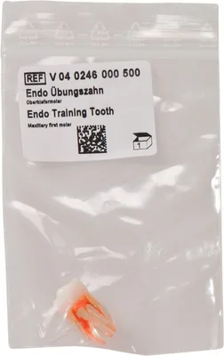 Endo Übungszahn
