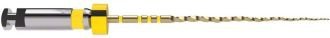 Trunatomy Small 31 mm