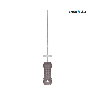 Endostar H-File 08 25mm