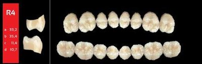 Ref-Line Posterior A4 R4 horní zuby