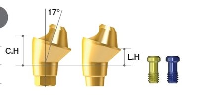 MEGAGEN AR Multi-unit abutment 17° - CH=2.5 mm, Non-Hex