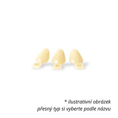 Náhled 2