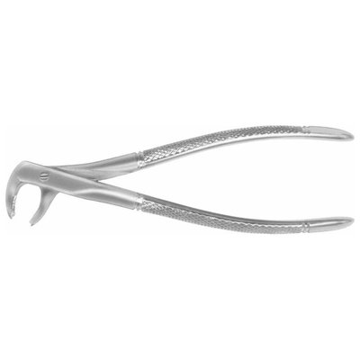 Forceps #73 Europ., IM Molar, EU