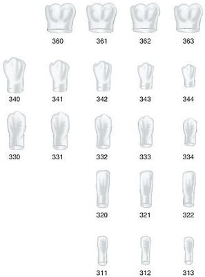 Strip Crowns korunky levé dolní 343