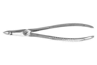 Kleszcze Berten fig. 46L b. cienkie dolne korzenie