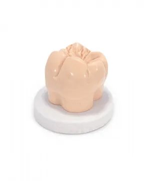 Vosk Gecko světle hnědý