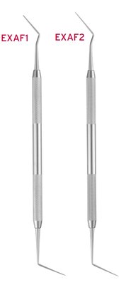 Explorer Endo #2 Al-Fouzan