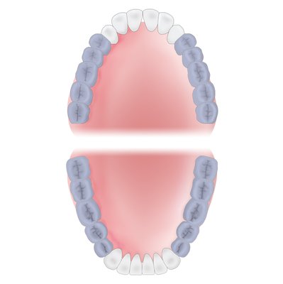 Gracey 7 XP-AEQ7XPQT