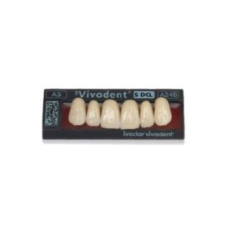 ZUBY SR Vivodent S DCL C1 A24B horní 6ks