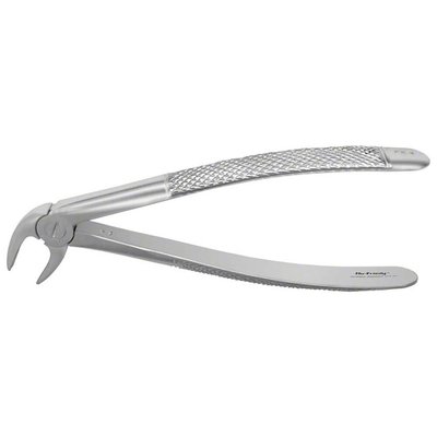 Forceps #4 Europ., IM anterior