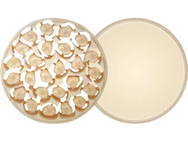 298151 - AMBARINO High-Class Disc 98,5x15mm