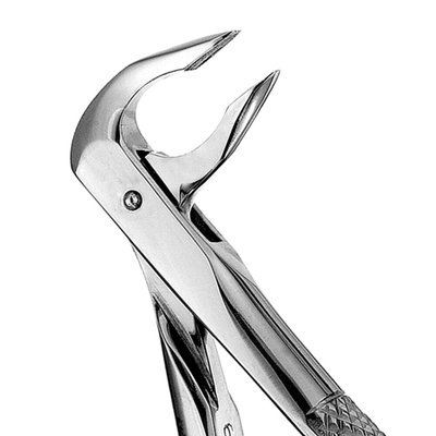 Forceps apical #X74N anterior inferior