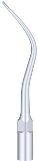 Woodpecker Tip P21L (EMS)