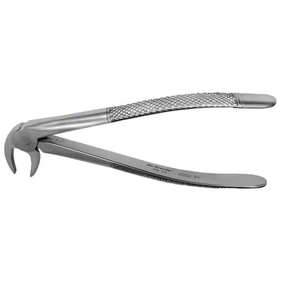 Forceps #13 Europ., SM premolar, EU