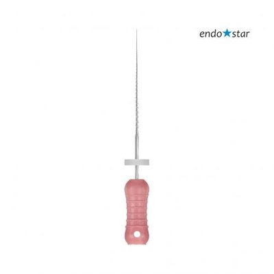 Endostar H-File 06 25mm