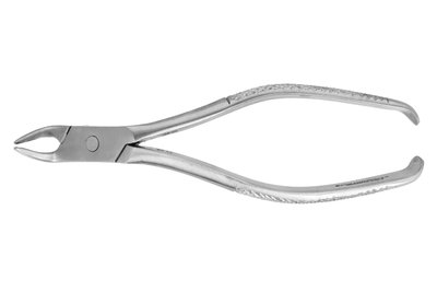 Kleszcze Meissner fig. 2 średnie